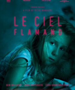 Le Ciel Flamand delivery preview