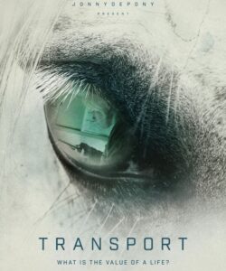 Transport eng horizontal preview